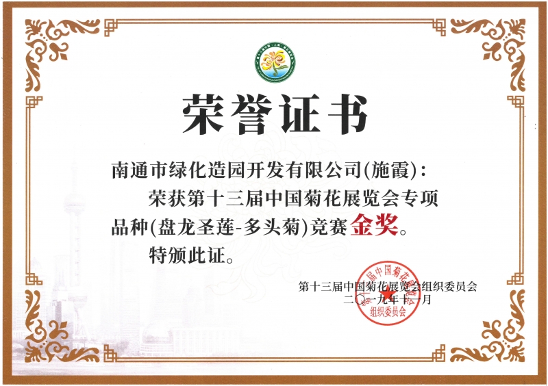 十三屆中國菊花展覽會專項品種（盤龍圣蓮-多頭菊）競賽金獎（施霞）